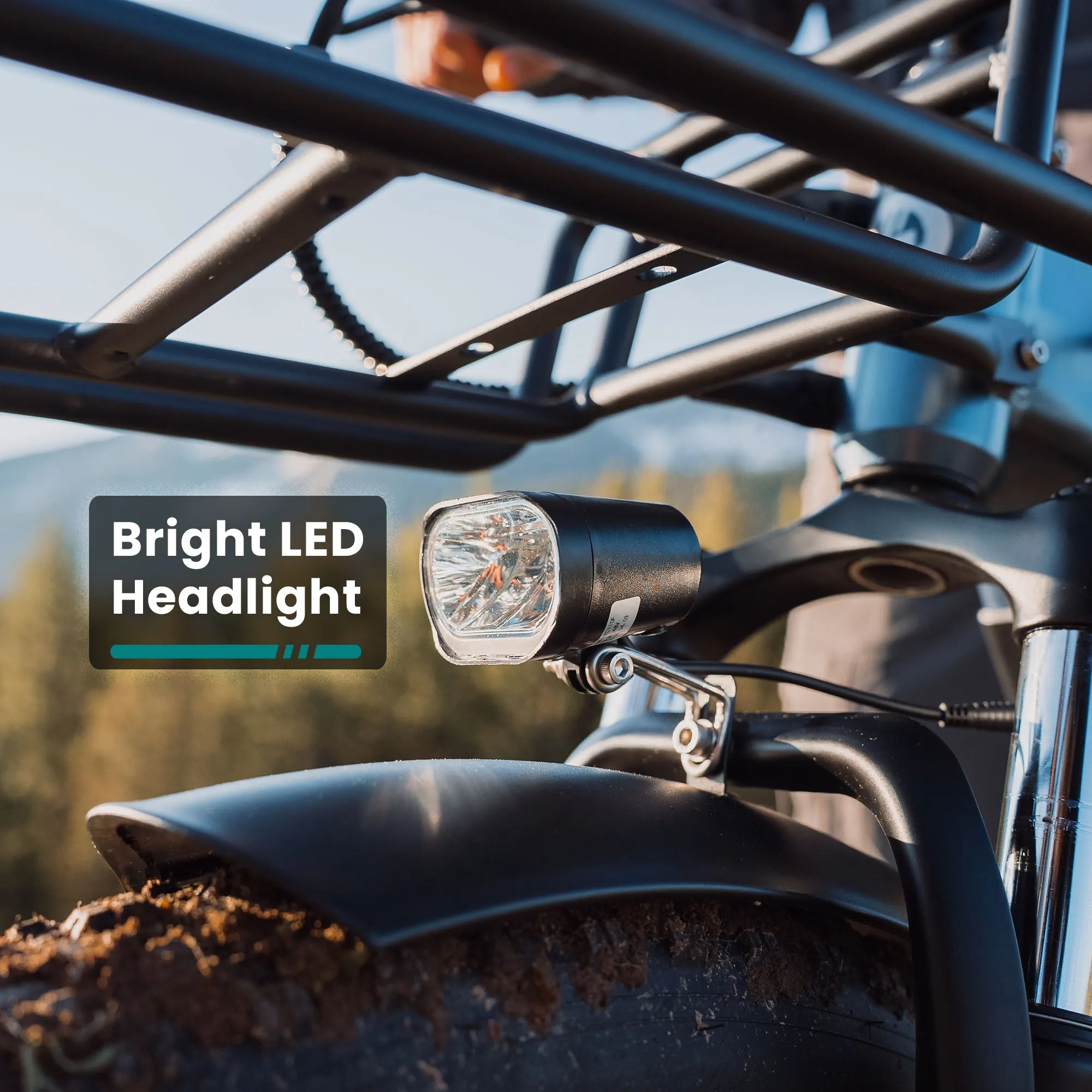 Alpine Fat Tire eBike