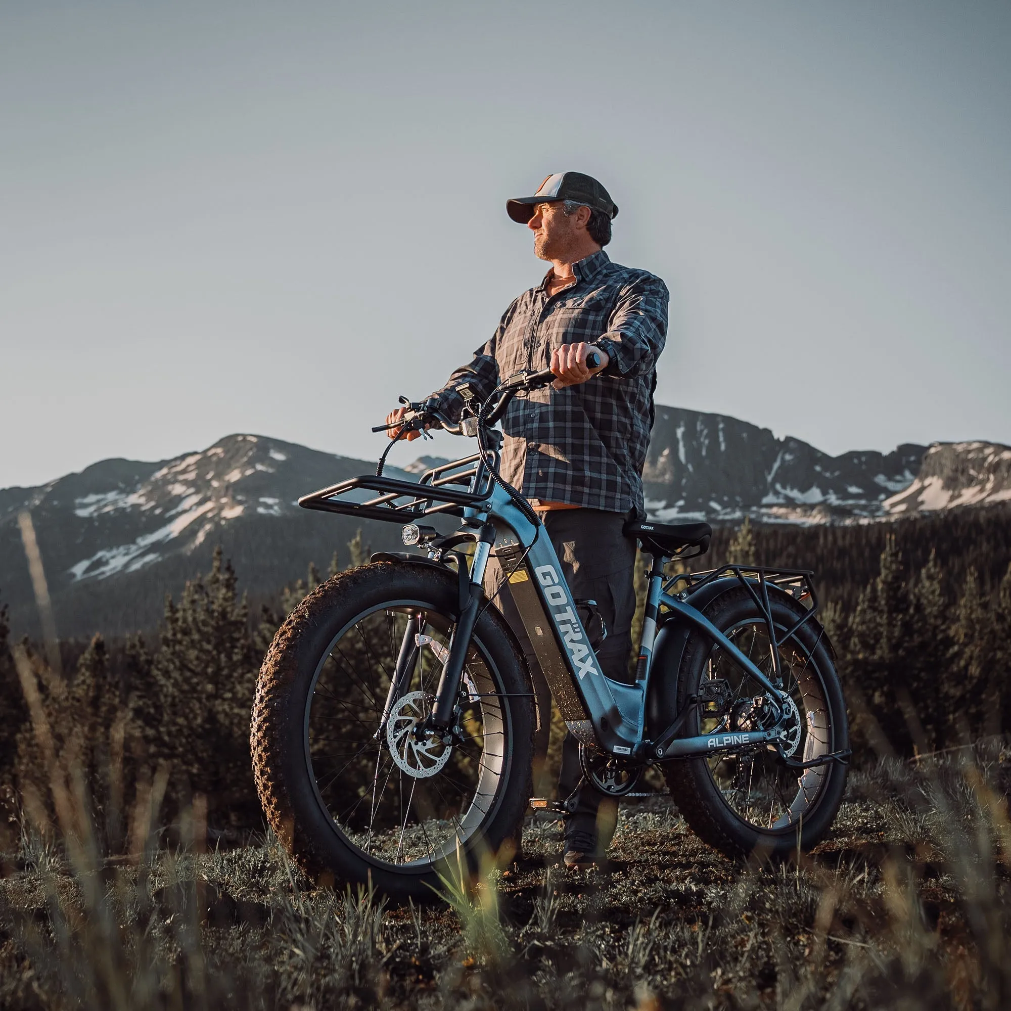Alpine Fat Tire eBike