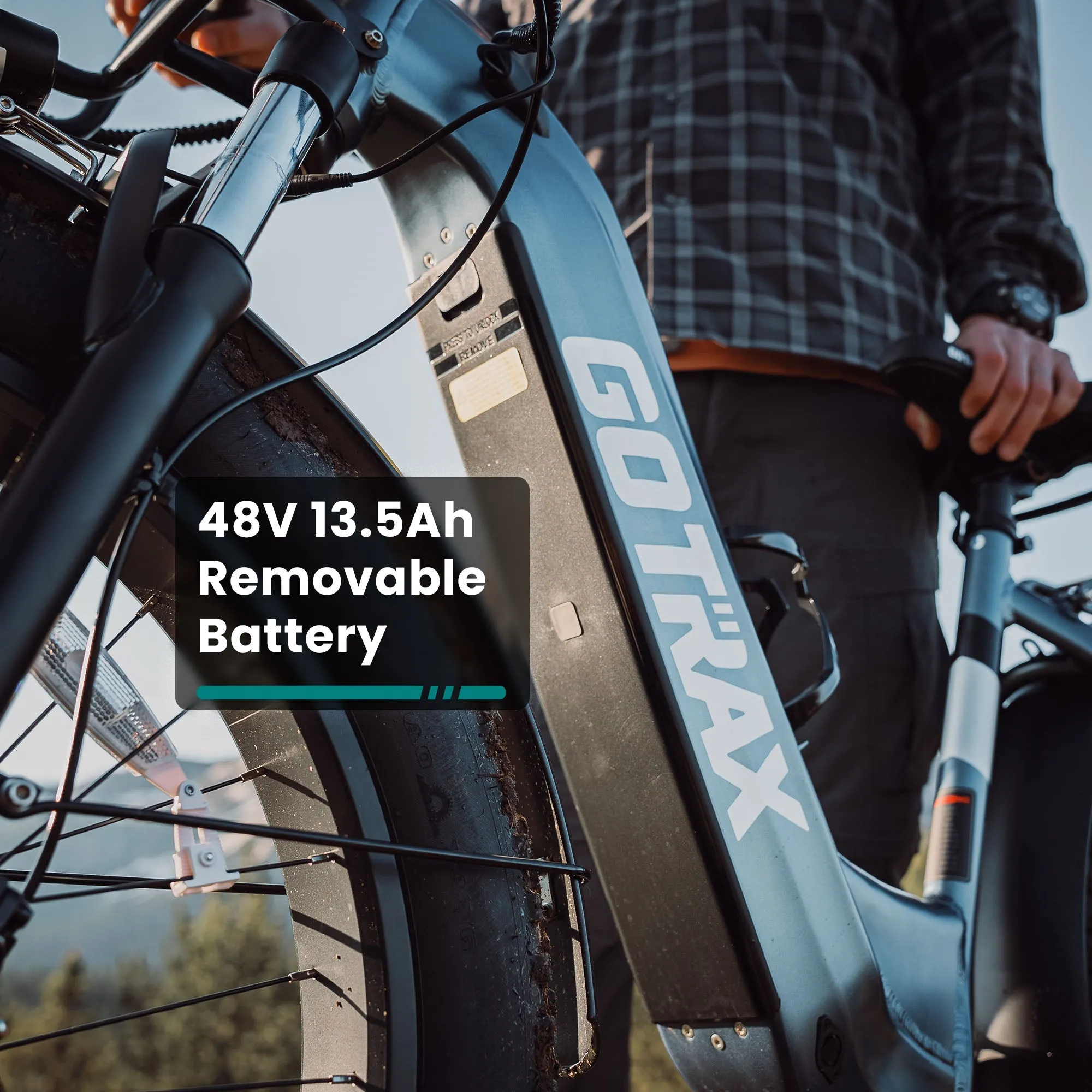 Alpine Fat Tire eBike