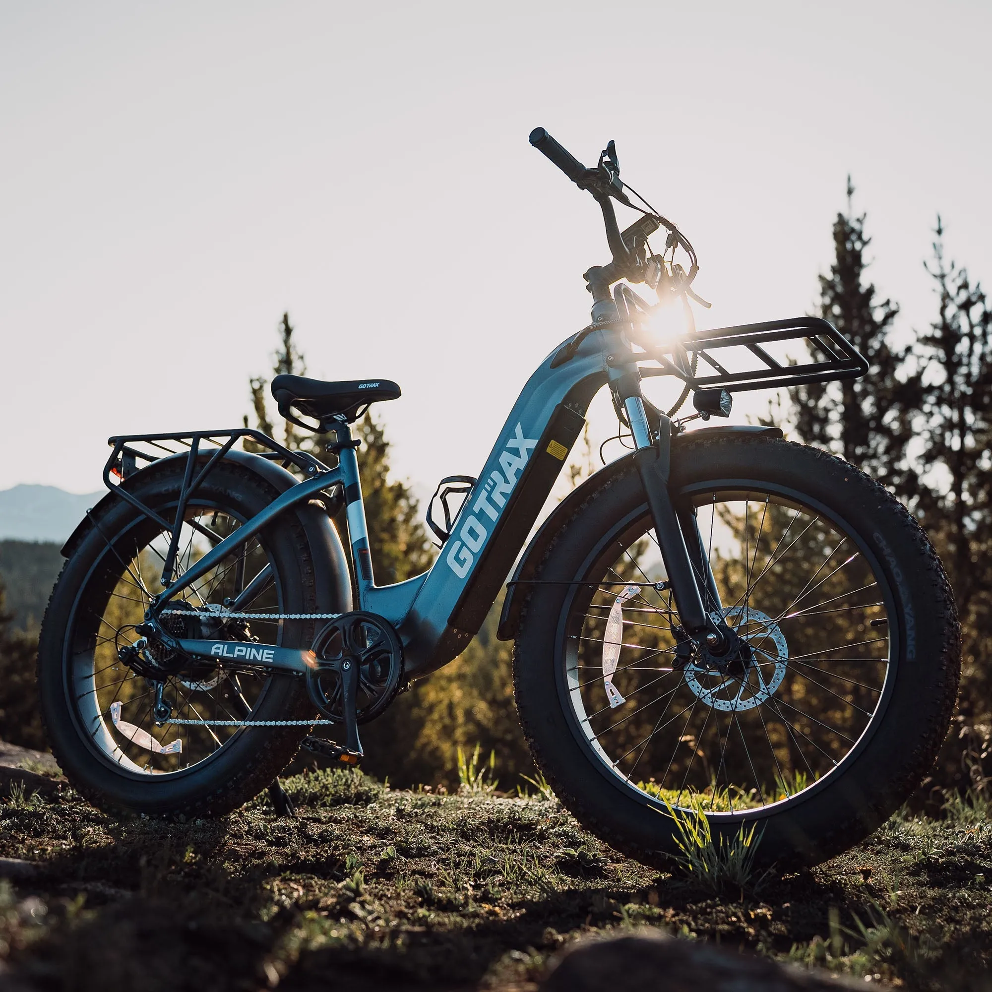 Alpine Fat Tire eBike