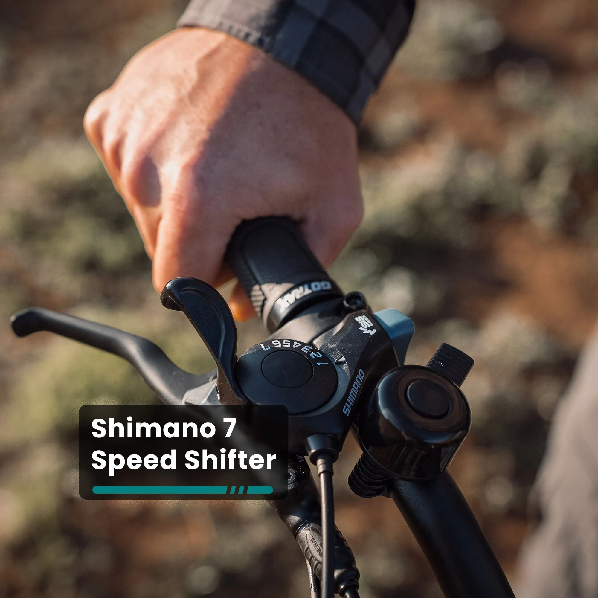Alpine Fat Tire eBike