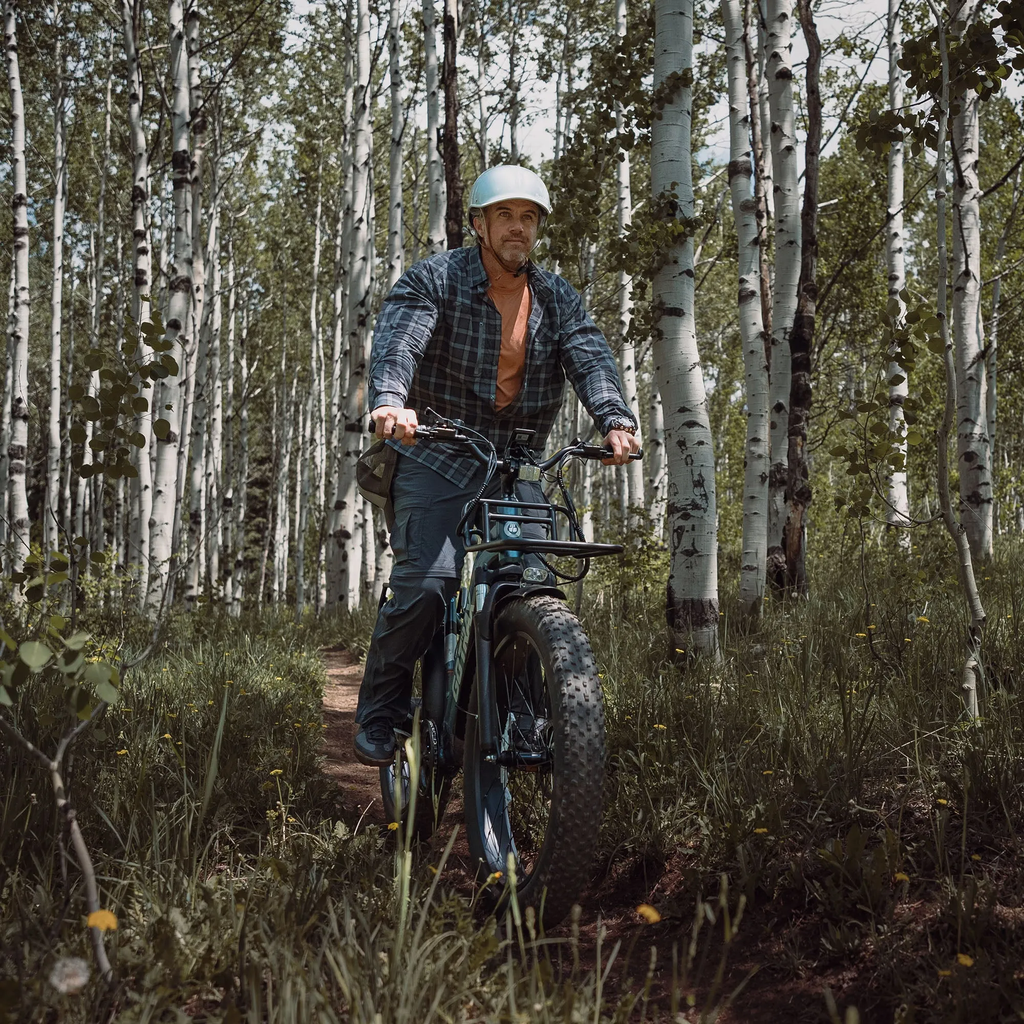 Alpine Fat Tire eBike