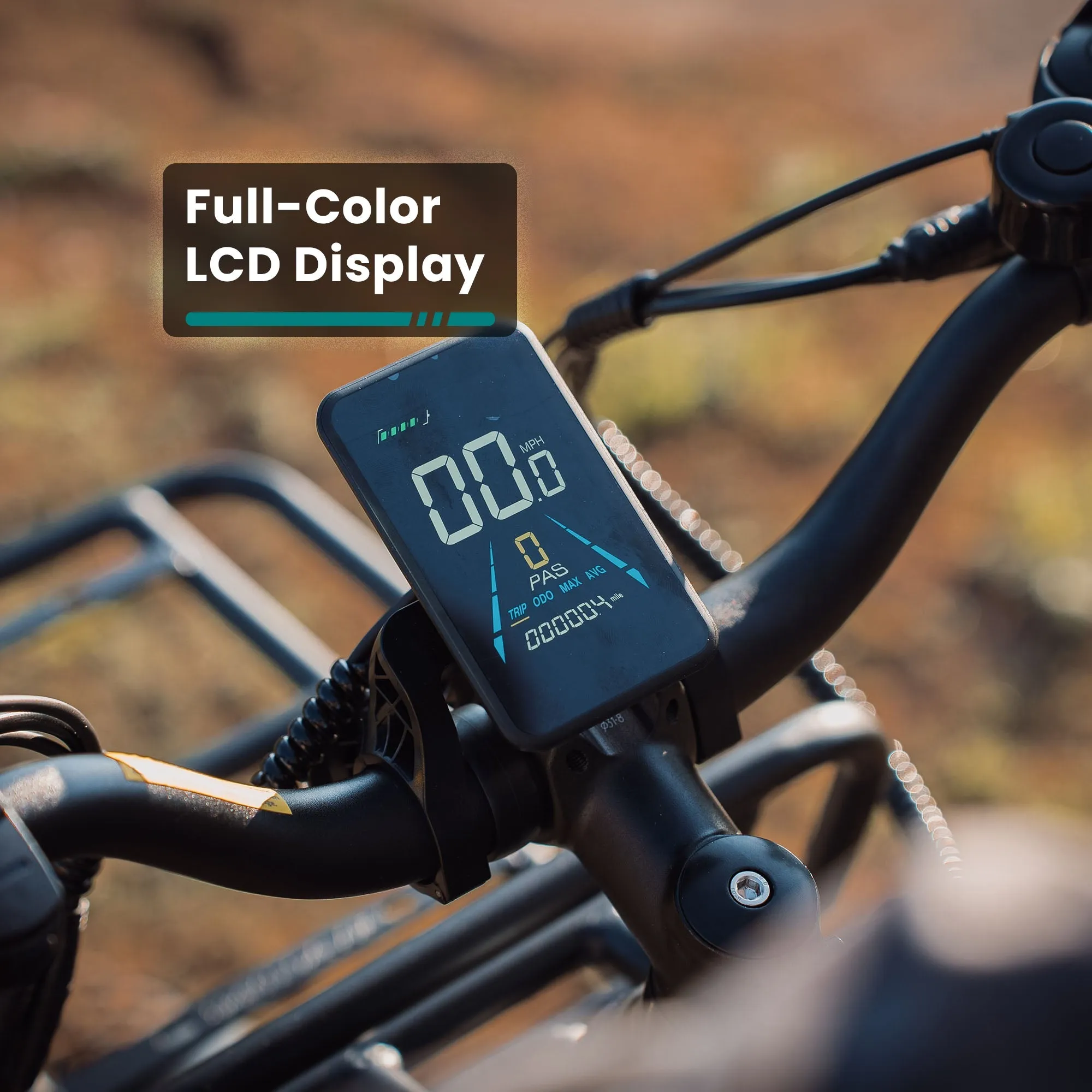 Alpine Fat Tire eBike