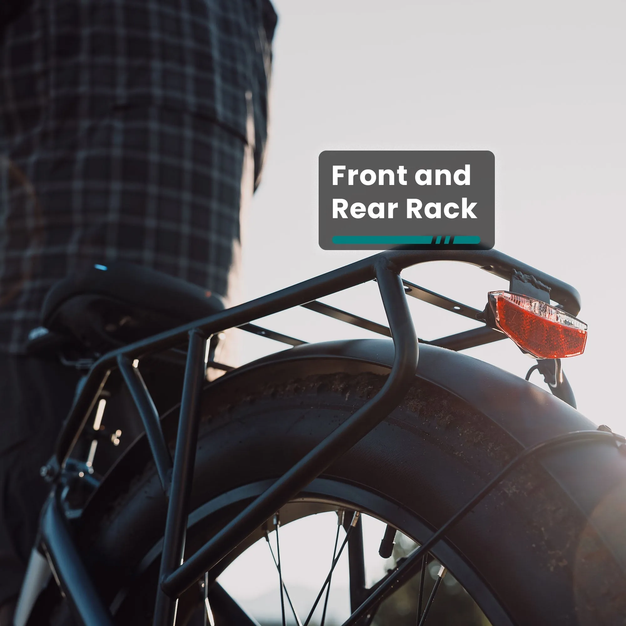 Alpine Fat Tire eBike