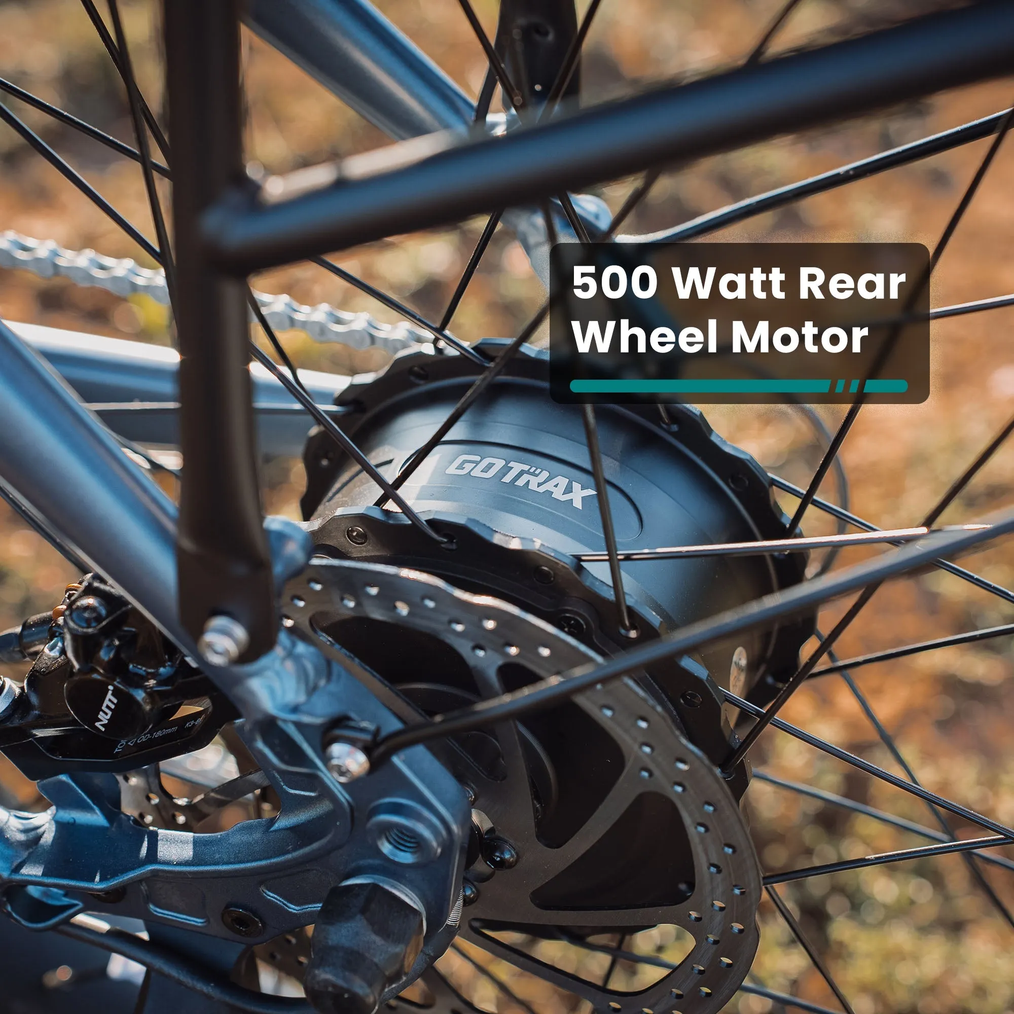 Alpine Fat Tire eBike