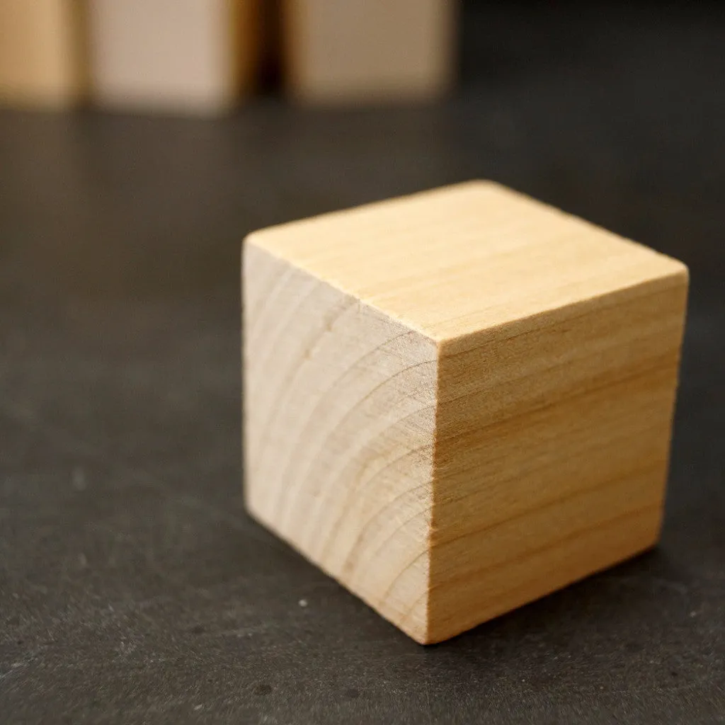 Blank Do-It-Yourself Wood Blocks / Cubes, 1-1/4 inch cube (Set of 12)