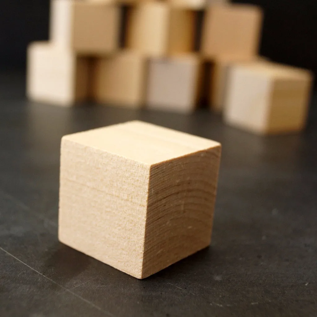 Blank Do-It-Yourself Wood Blocks / Cubes, 1-1/4 inch cube (Set of 12)