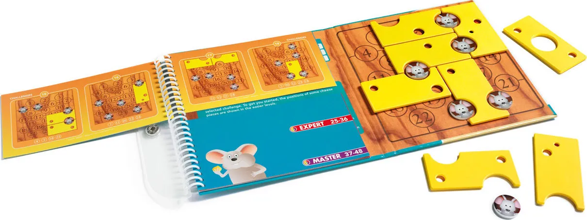 Brain Cheeser Travel Game