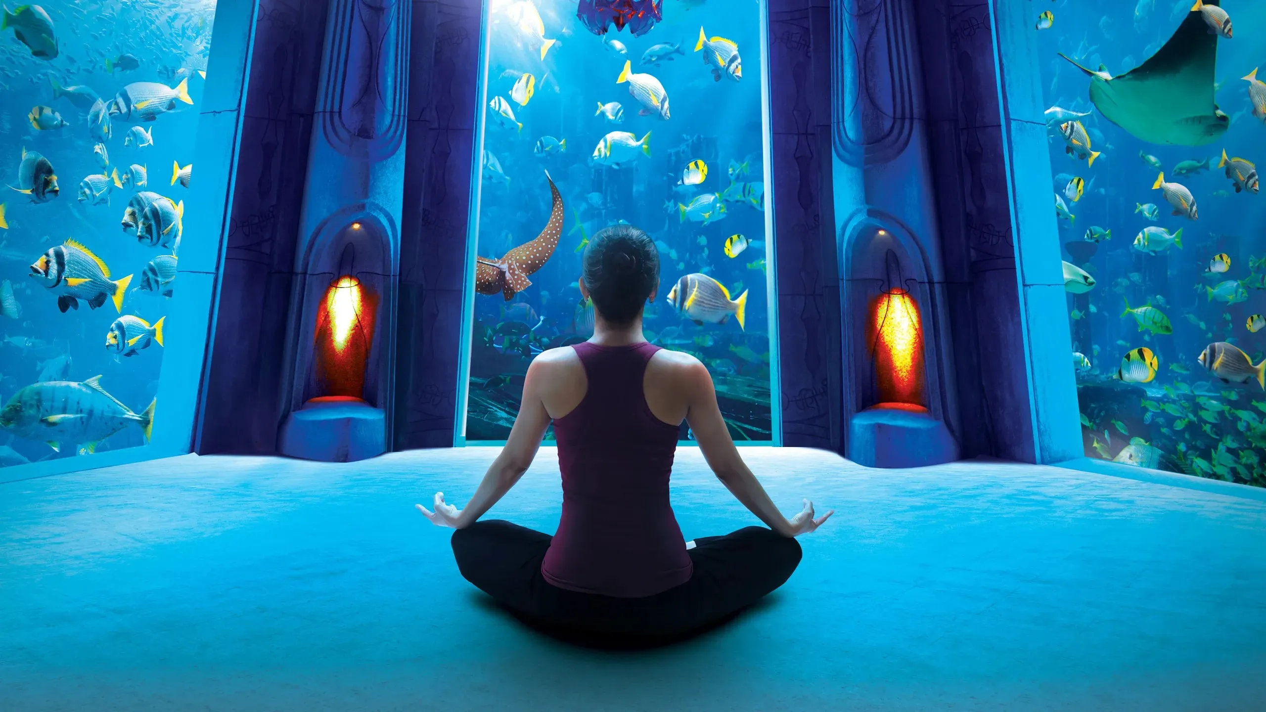 Combo: IMG Worlds of Adventure   The Lost Chamber Aquarium