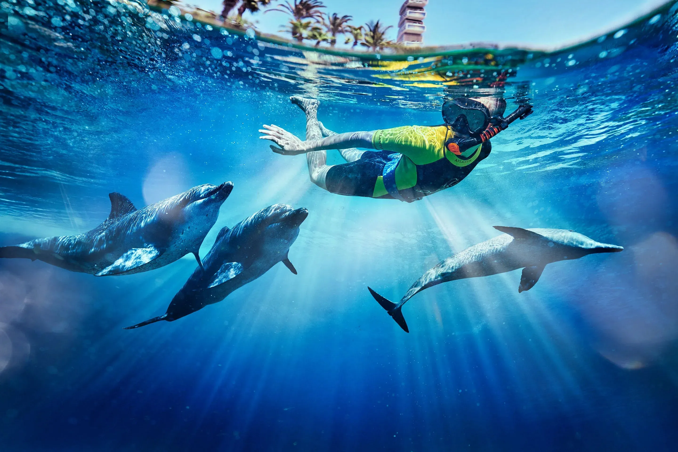 Combo: IMG Worlds of Adventure   The Lost Chamber Aquarium
