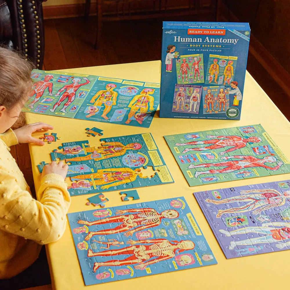 Eeboo Human Anatomy Body Systems - Four 48 Piece Puzzles