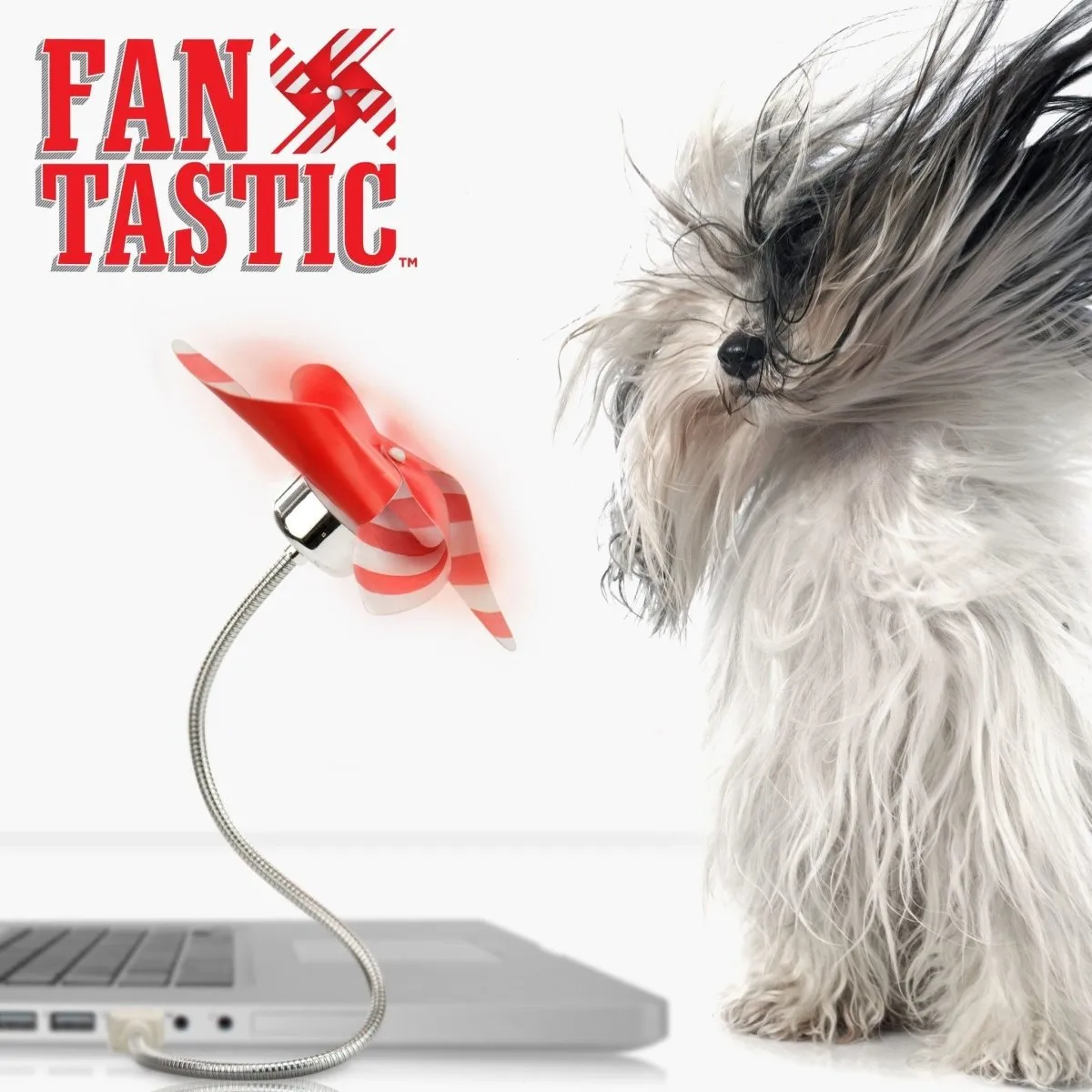 Fan-tastic USB Novelty Fan