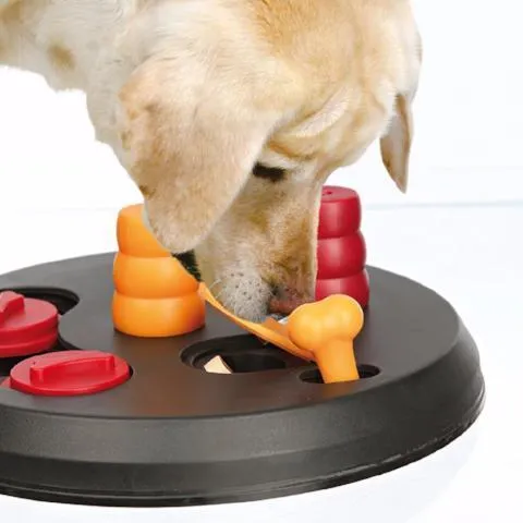 Flip Board Strategy Game | Level 2