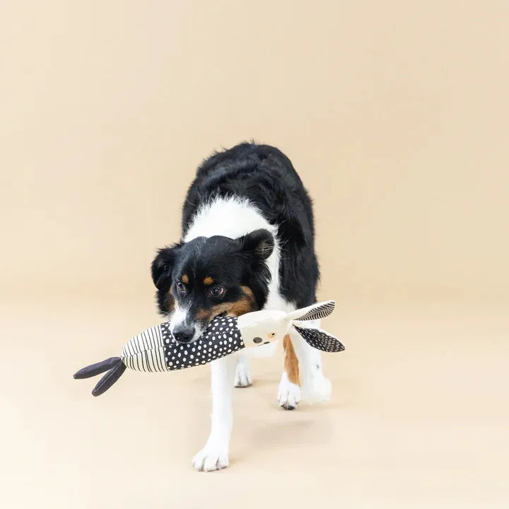 Fringe Dog Toy Canvas All Ears