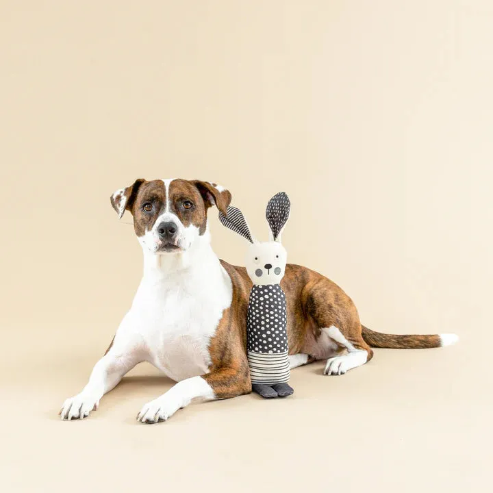 Fringe Dog Toy Canvas All Ears