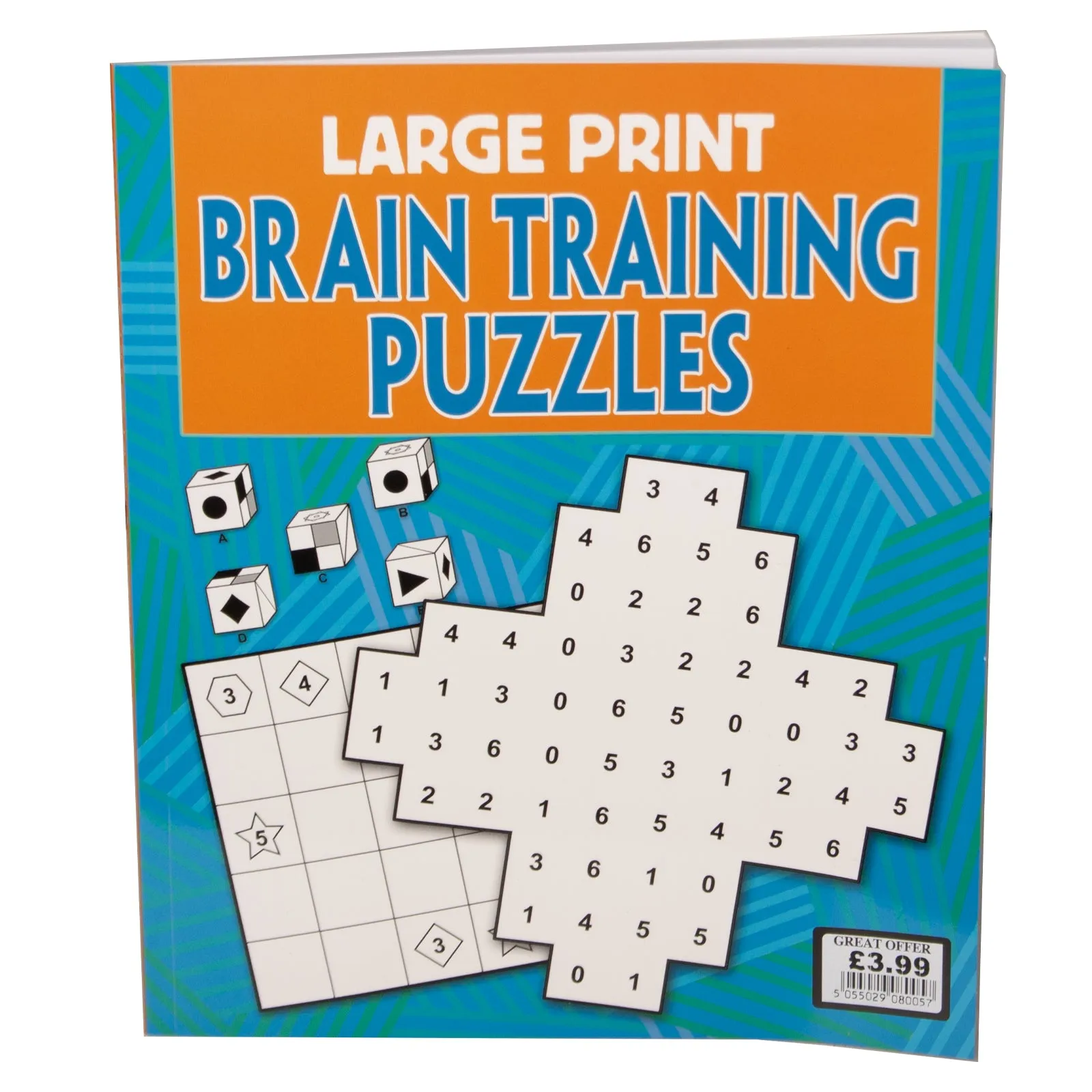 Large Print Brain Training Puzzles