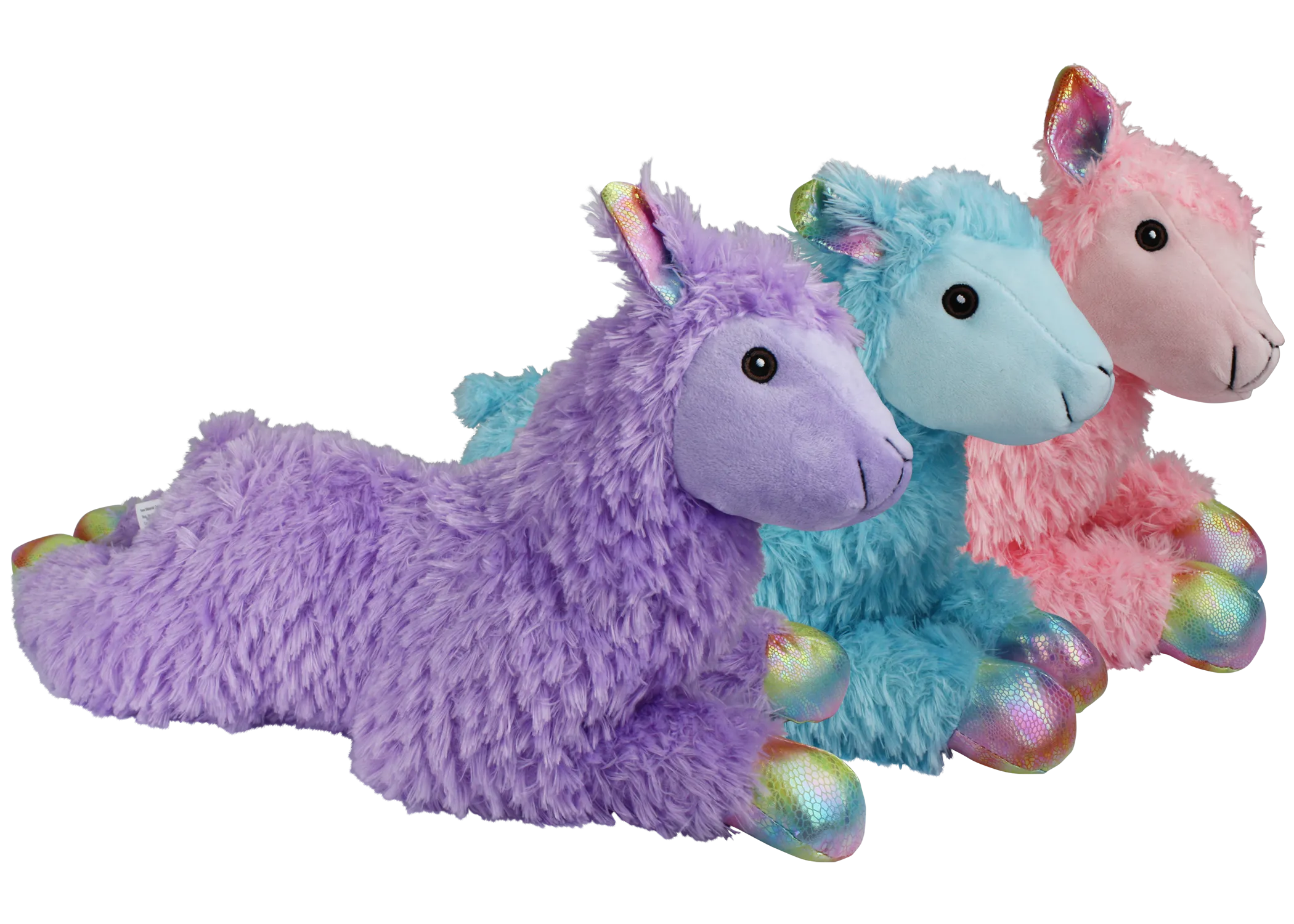 LLAMA - 24"