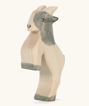 Ostheimer Jumping Goat Kid