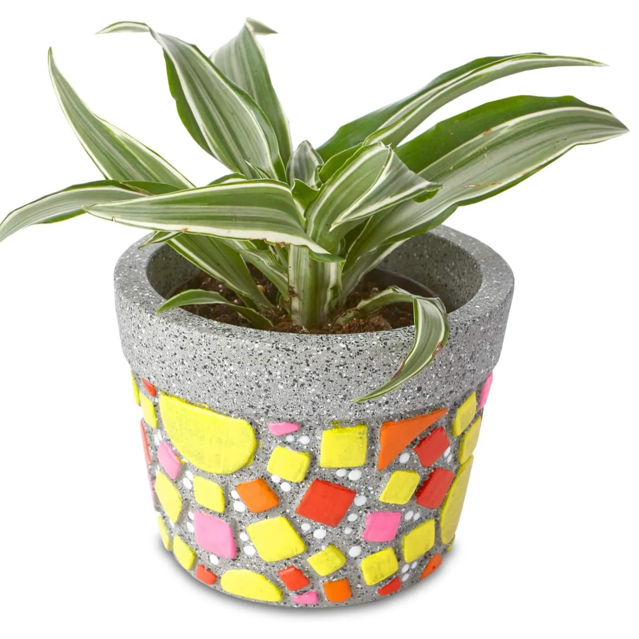 Paint Your Own: Mosaic Flower Pot