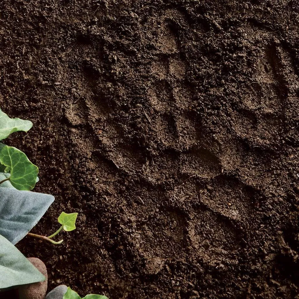 Paint Your Own Stepping Stone: Dino Footprint