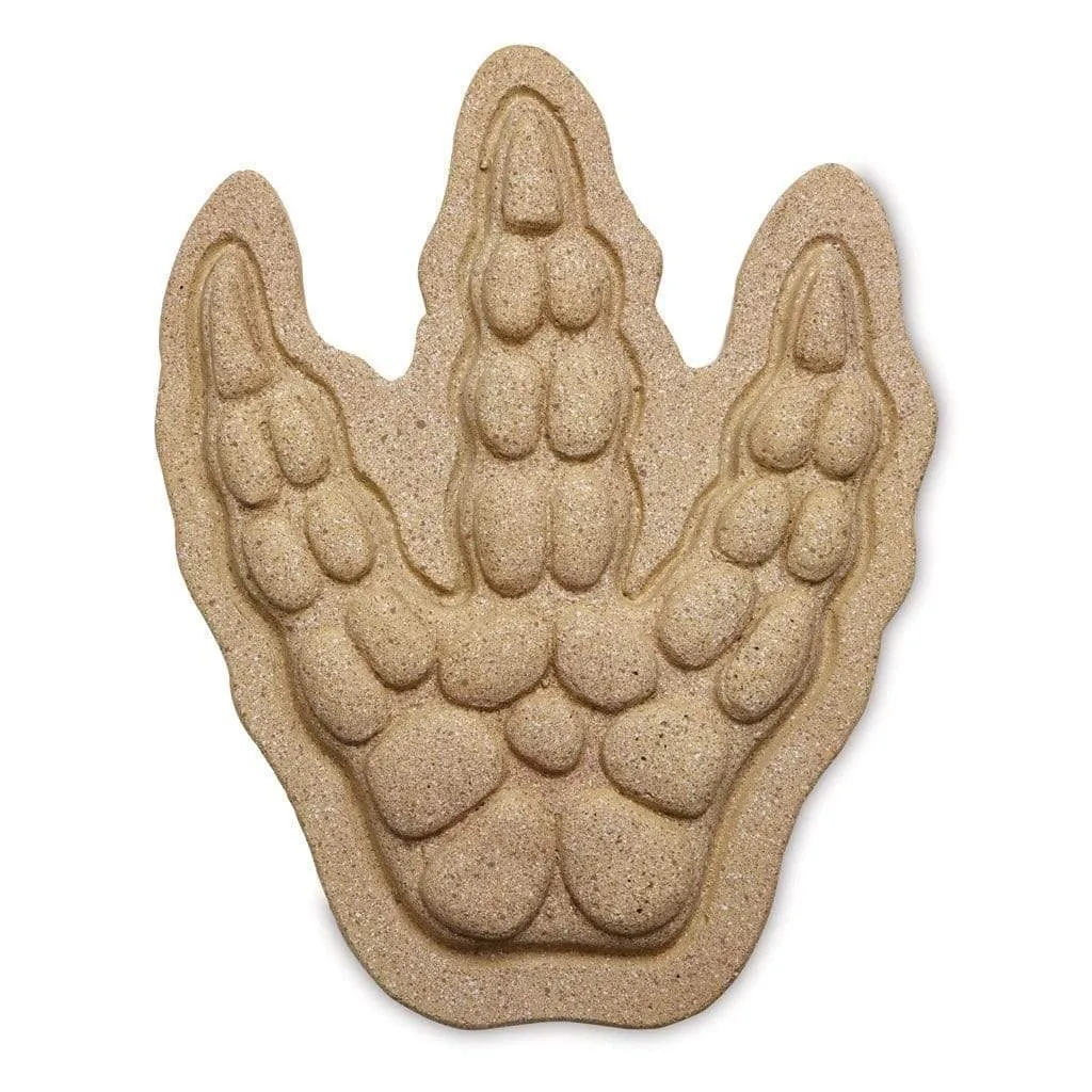 Paint Your Own Stepping Stone: Dino Footprint