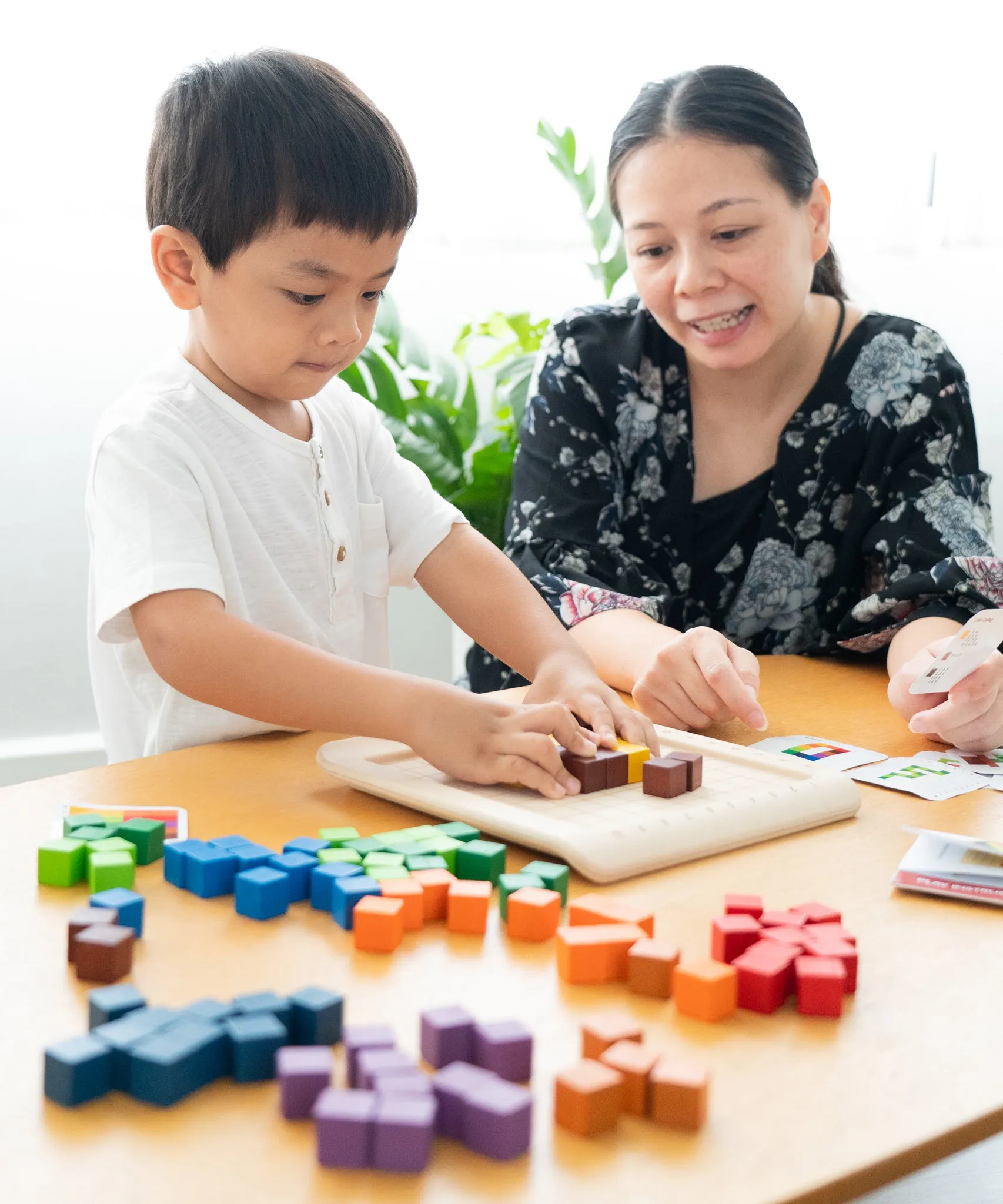 PlanToys 100 Rainbow Counting Cubes