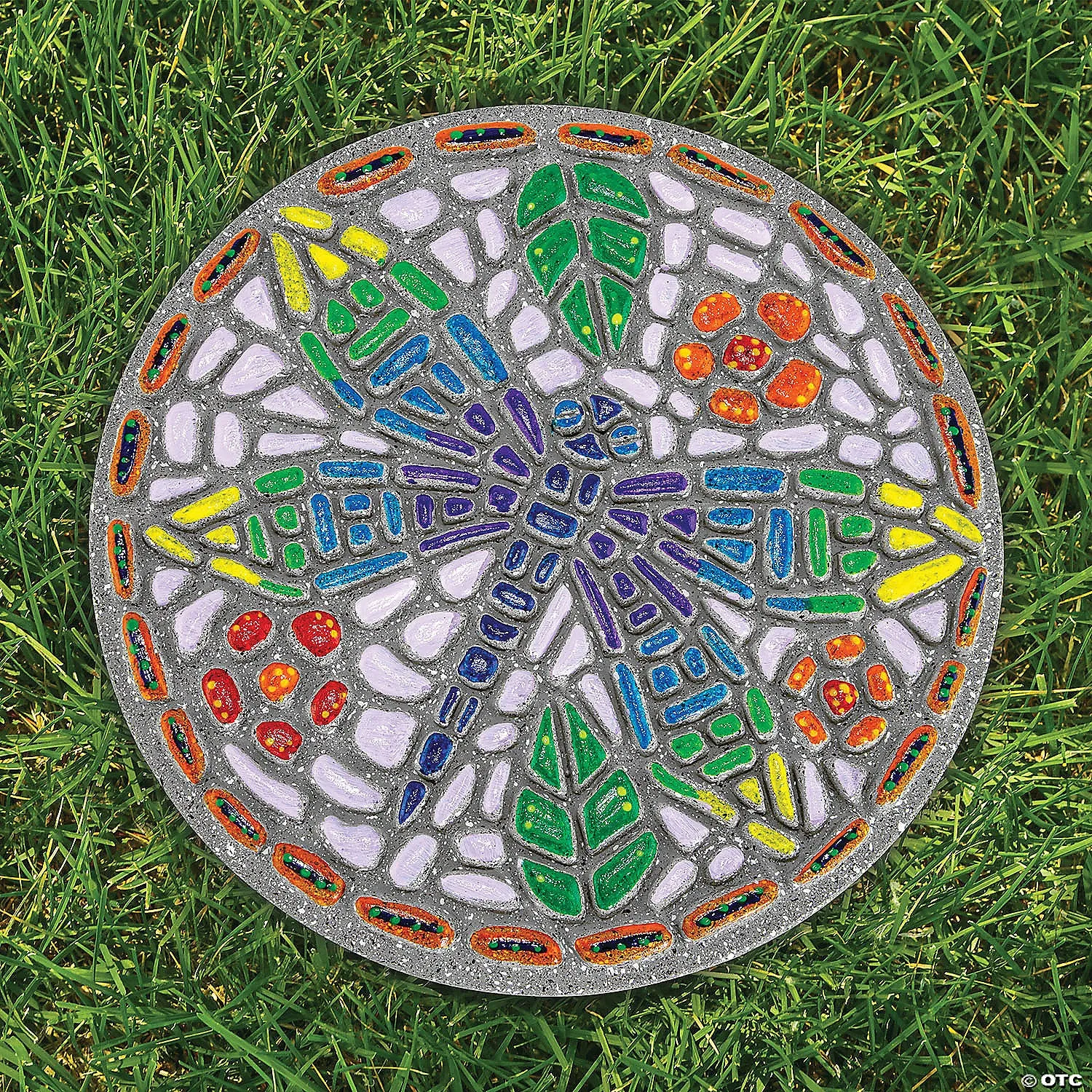PYO Stepping Stone: Dragonfly