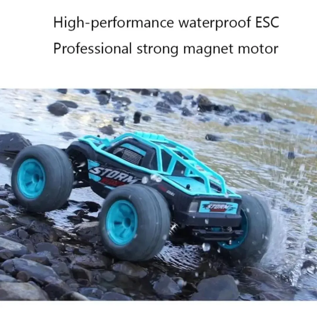 SAM Toys - 1:16 High speed RC car (chargable) Hobby Line Assorted
